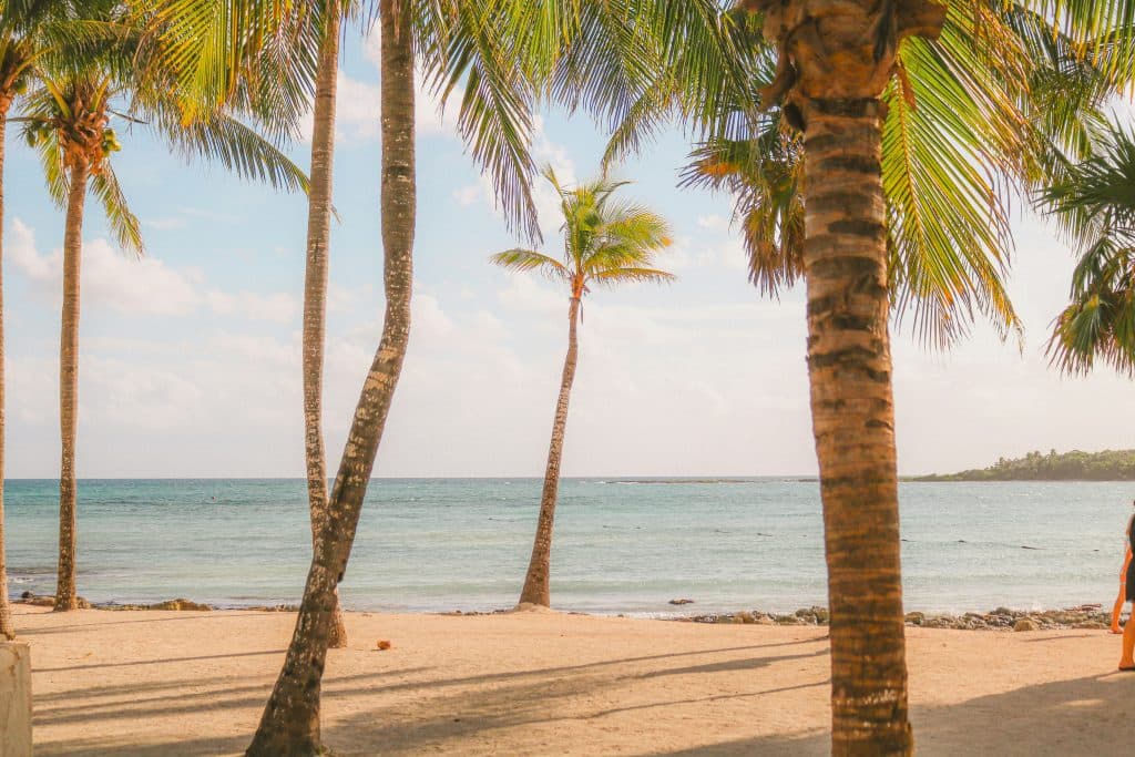 A sandy beach with several palm trees, calm blue ocean water, and a bright sky with scattered clouds. Some greenery is visible in the distance along the shoreline.