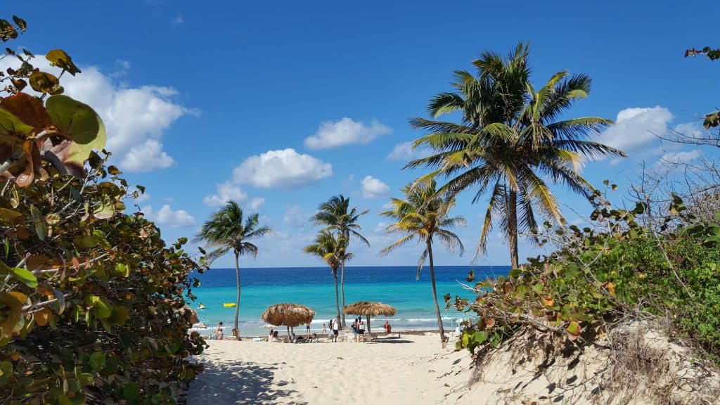 A sandy beach with palm trees, people relaxing under straw umbrellas, and clear turquoise water under a bright blue sky with scattered clouds. Shrubs frame the view of the beach.